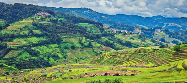 腊姑梯田。成人电影
供图